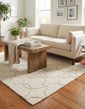 4' x 6' Luna Rug