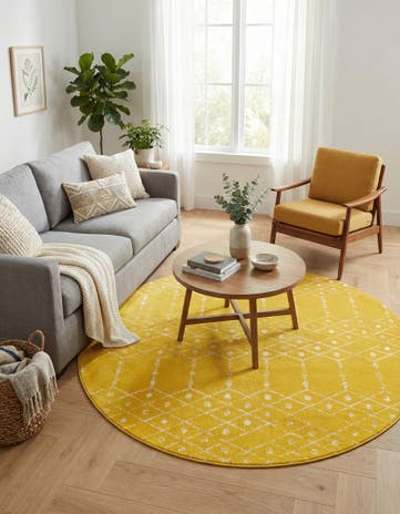 7' 10 x 7' 10 Paxon Trellis Round Rug