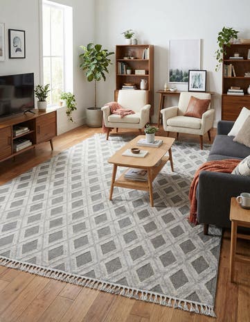 9' 10 x 14' Arlo Rug