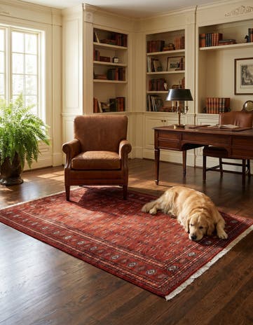 4' 1 x 6' 2 Hand Knotted Bokhara Oriental Wool Rug