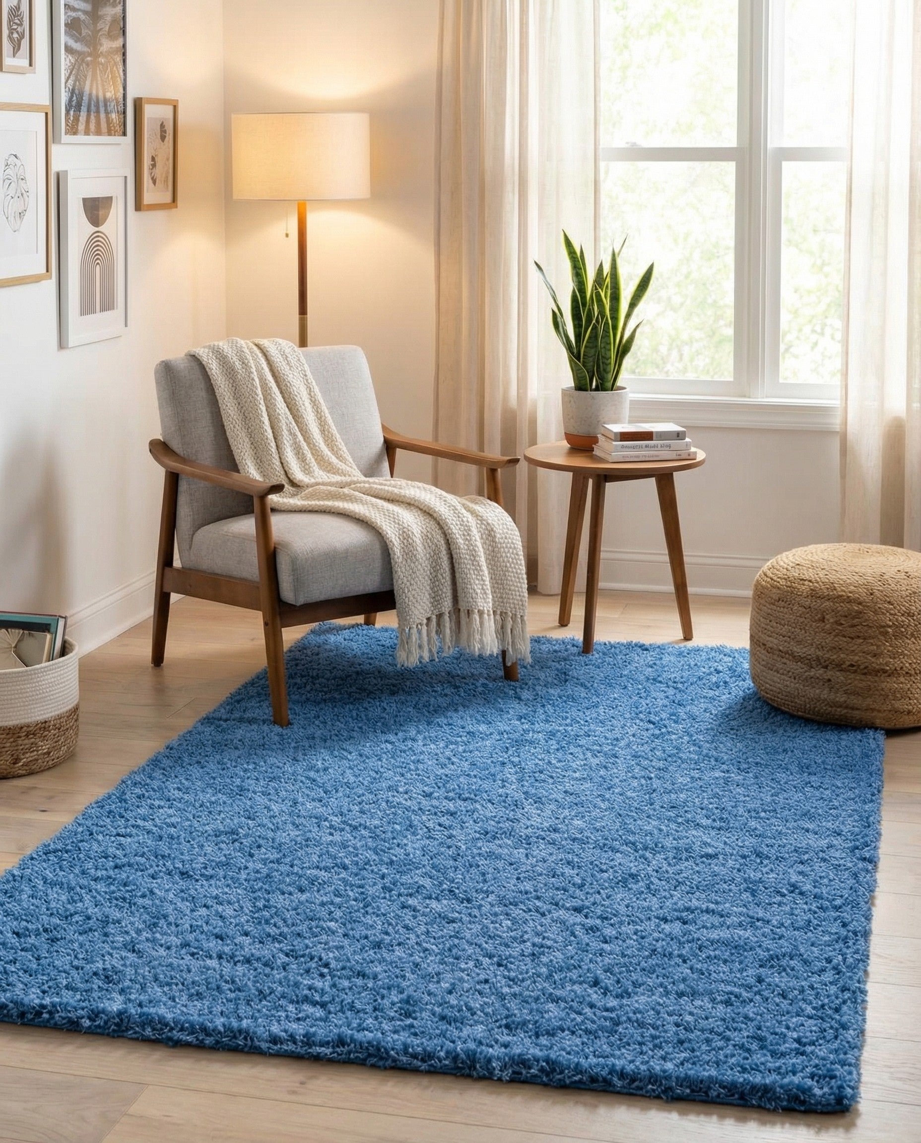  3' x 5' 3 Solid Shag Rug