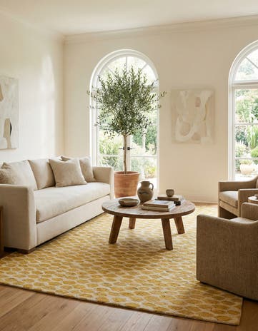 6' x 9' 2 Hand Knotted Darya Wool Rug