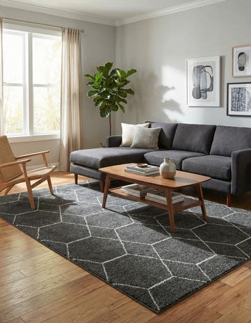 7' 10 x 11' Lattice Frieze Rug