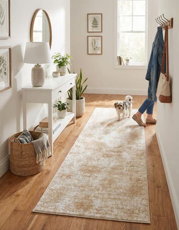 2' 7 x 10' Aurora Runner Rug