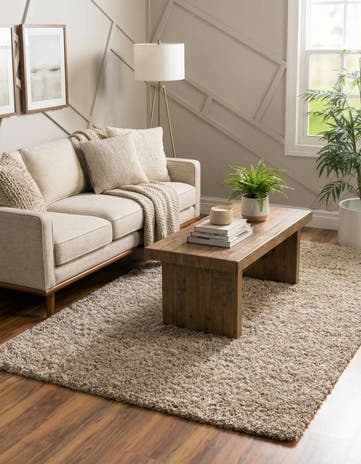 4' x 6' Solid Shag Rug