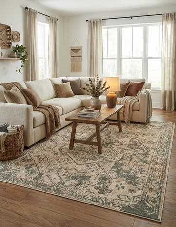 10' x 14' Mojave Rug