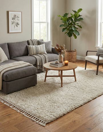 7' x 10' Athena Shag Rug