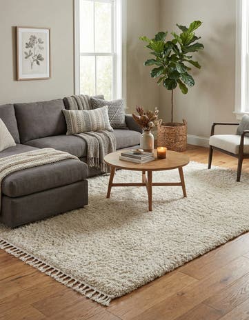 7' x 10' Athena Shag Rug