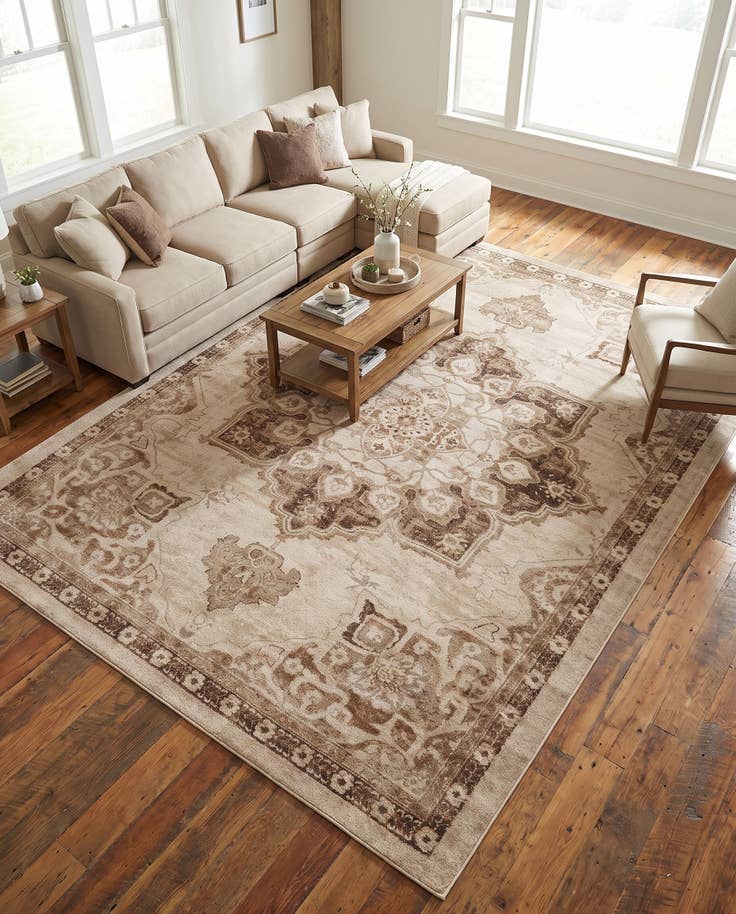 Vue détaillée : 275cm x 365cm Arcadia Tapis