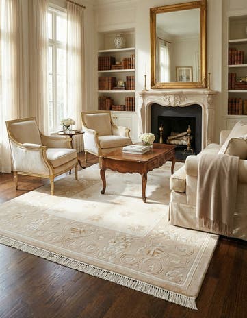 4' 1 x 5' 11 Darya Rug