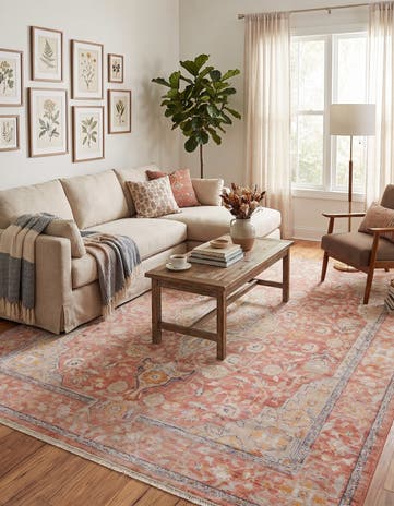 10' x 12' 4 Lola Rug