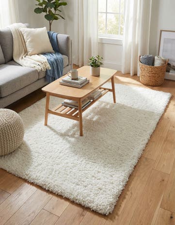 4' x 6' Zermatt Shag Rug