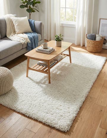 4' x 6' Zermatt Shag Rug