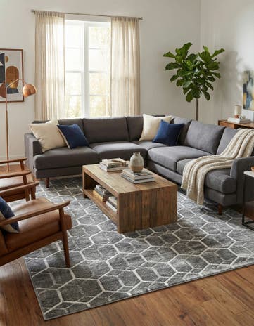 9' 10 x 14' Lattice Trellis Rug