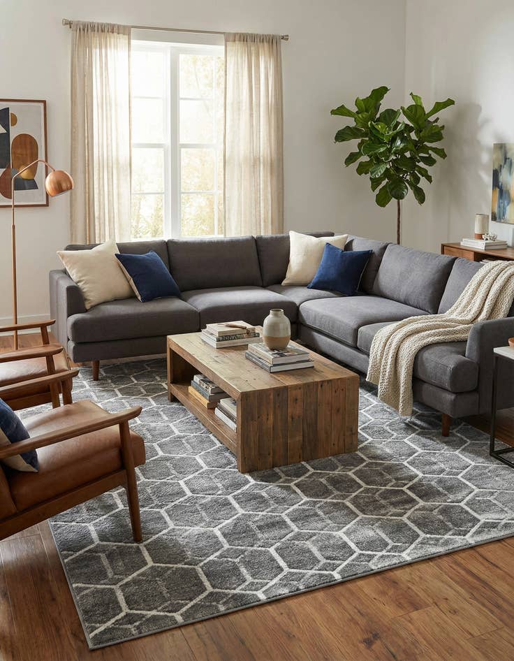 Detail image of 9' 10 x 14' Lattice Trellis Rug