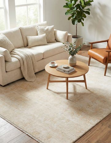 7' 10 x 10' Boutique Rug