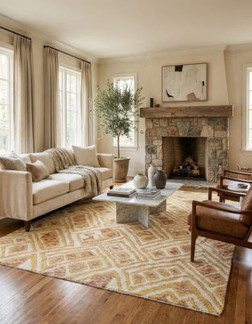 9' 7 x 14' 3 Hand Knotted Darya Wool Rug