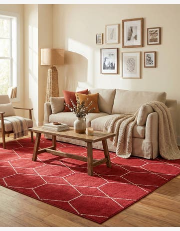 6' x 9' Lattice Frieze Rug