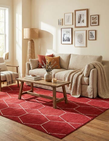 6' x 9' Lattice Frieze Rug