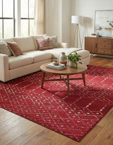7' 10 x 10' Paxon Trellis Rug