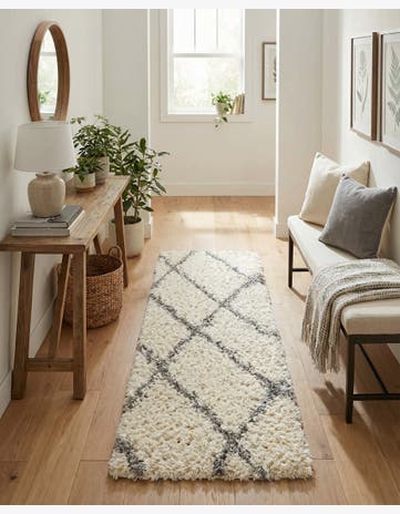 2' x 6' Infinity Shag Runner Rug