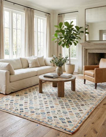 6' 2 x 9' 5 Hand Knotted Darya Wool Rug