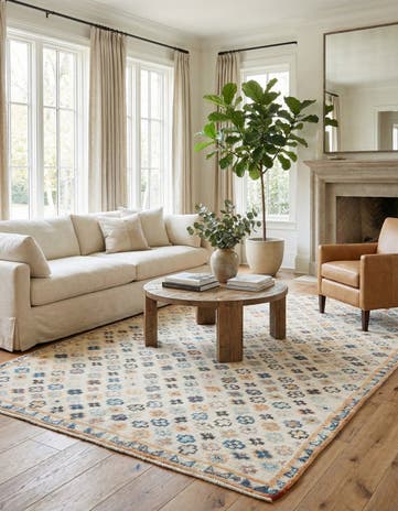 6' 2 x 9' 5 Hand Knotted Darya Wool Rug