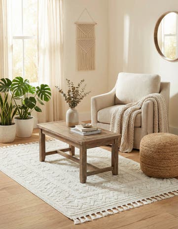 4' x 6' Boho Rug