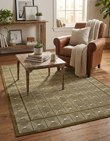4' x 6' Aakaar Rug