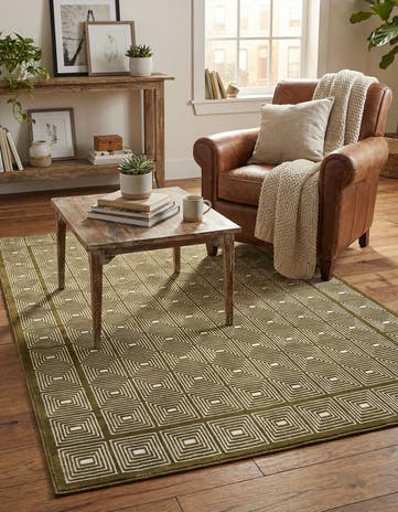 4' x 6' Aakaar Rug