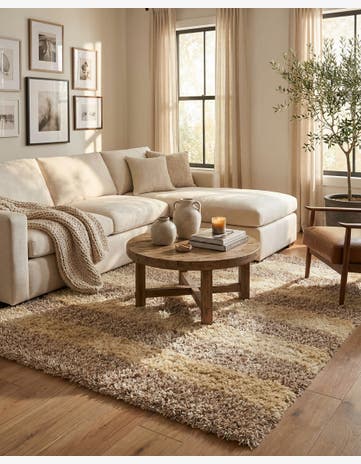 5' x 6' 8 Hand Knotted Two-Tone Shag Rug