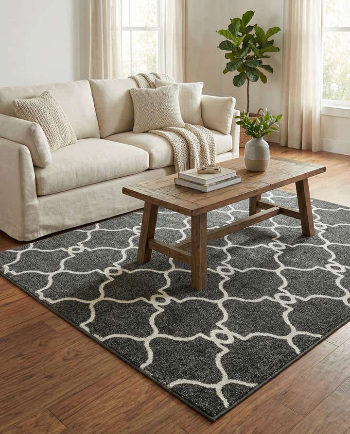 4' x 6' Easy-Clean Trellis Indoor / Outdoor Rug