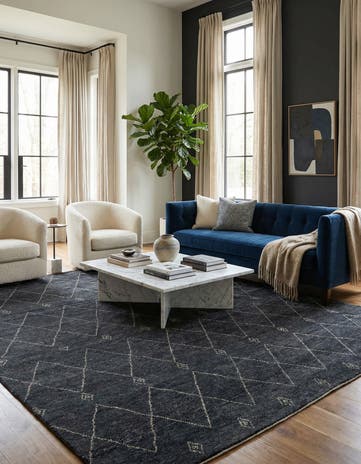9' 3 x 12' 4 Hand Knotted Darya Wool Rug