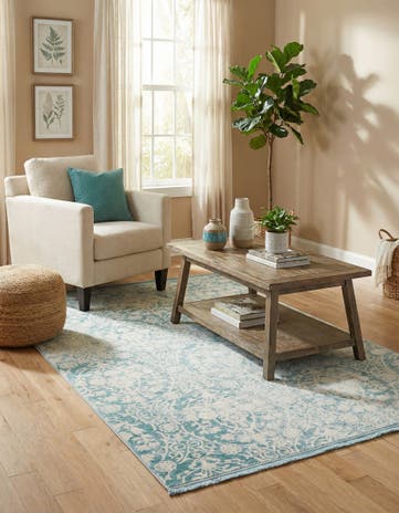 4' x 6' Modern Classical Rug