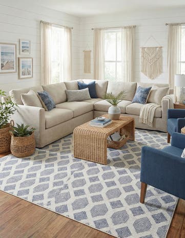 9' 10 x 12' Sabrina Soto Casa Havana Rug