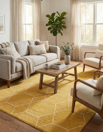 7' x 10' Lattice Frieze Rug