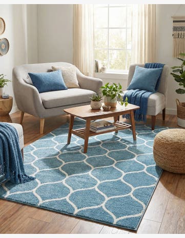 4' x 6' Trellis Frieze Rug