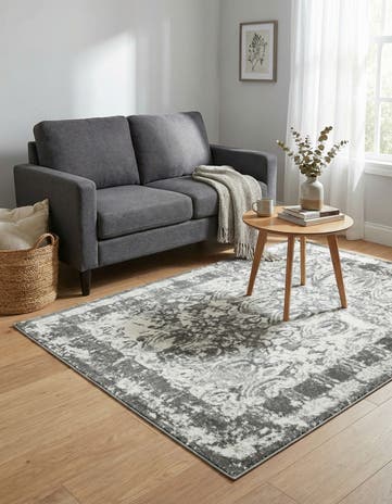 4' x 6' Veneto Rug