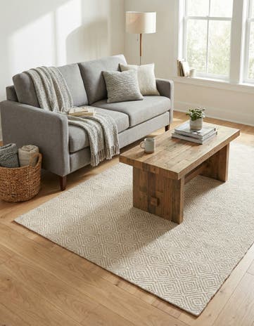 4' 1 x 6' 1 Hand Woven Geo Trellis Flatweave Rug