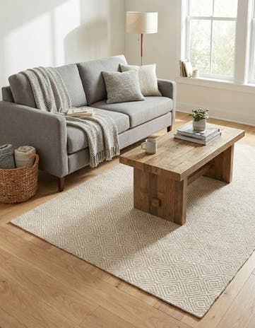 4' 1 x 6' 1 Hand Woven Geo Trellis Flatweave Rug