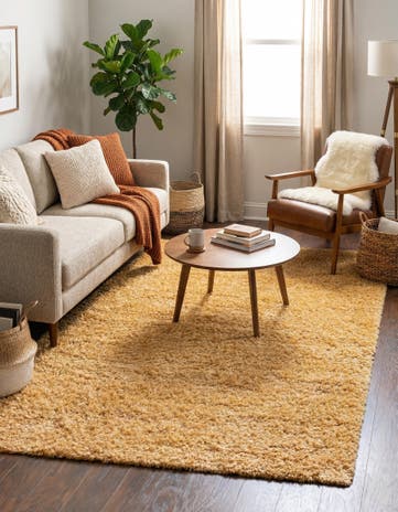 5' 3 x 8' Zermatt Shag Rug
