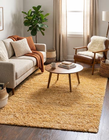 5' 3 x 8' Zermatt Shag Rug