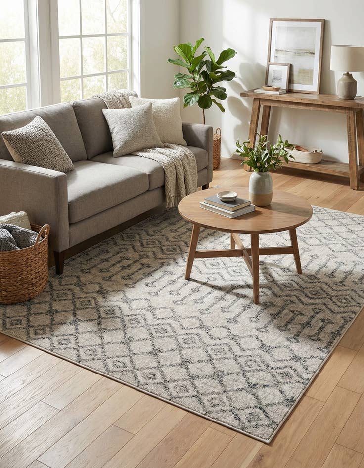 Detail image of  4' x 6' Eco Trellis Rug