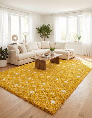 9' x 12' Moroccan Trellis Shag Rug