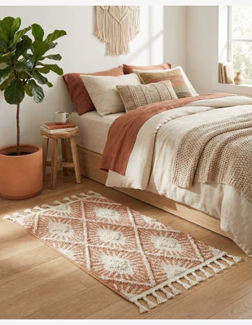 2' x 3' Boho Rug