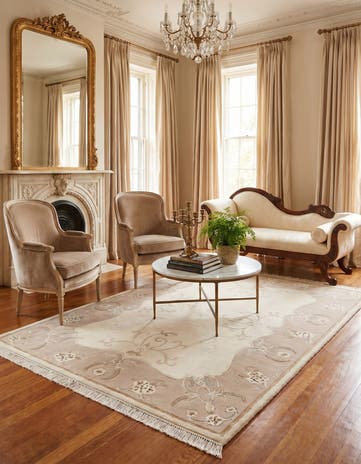 4' x 6' Darya Rug