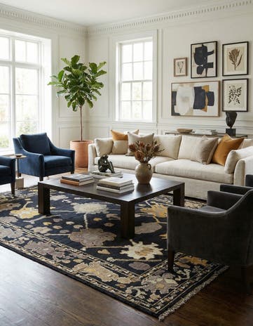 10' 3 x 14' Hand Knotted Darya Wool Rug