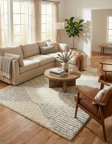 10' x 14' Infinity Shag Rug