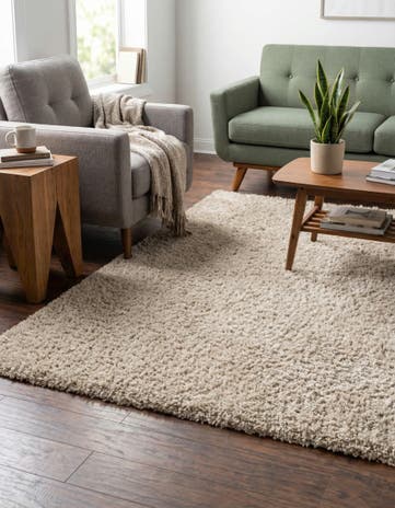 4' x 6' Zermatt Shag Rug