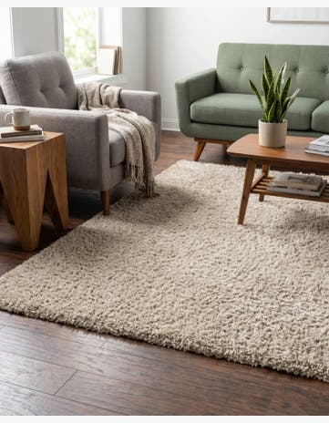 4' x 6' Zermatt Shag Rug